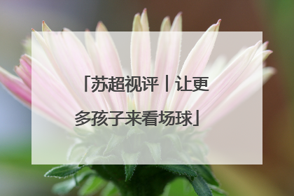 苏超视评︱让更多孩子来看场球